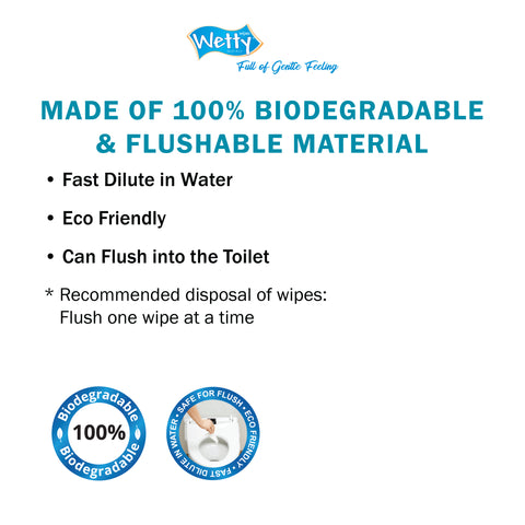 Wetty Biodegradable & Flushable Feminine Toilet Wet Tissue (1 x 10's)