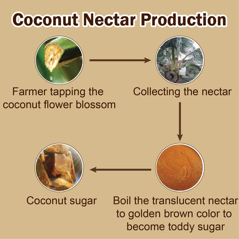 HOPE Organic Coconut Nectar Granules Sugar (1kg x 5 Pack) Carton
