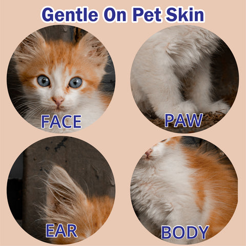 Petti Pet Cat Wipes Wet Wipes (1 x 80's)